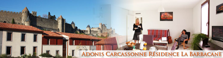 Banniere hotel Adonis Carcassonne Appart'htel La Barbacane, Carcassonne, 11000