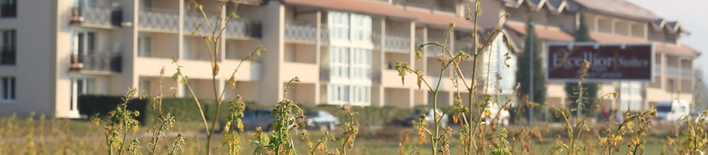 Banniere hotel Adonis Excellior Grand Genève, Veigy Foncenex, 74140